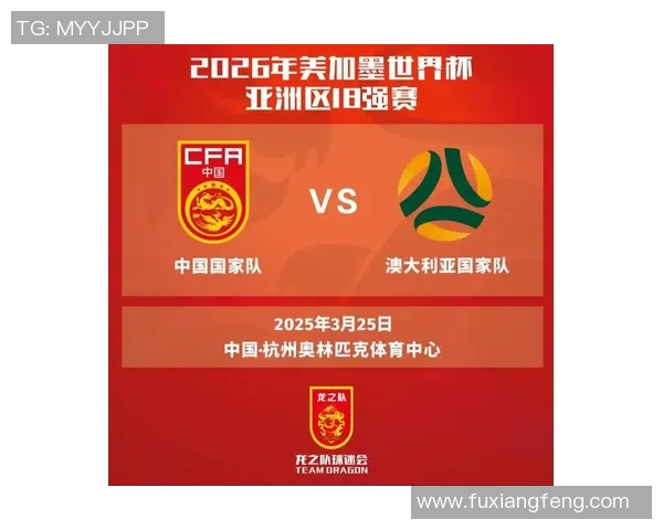 杭州足球队在世界杯预选赛中的战术分析与表现评估