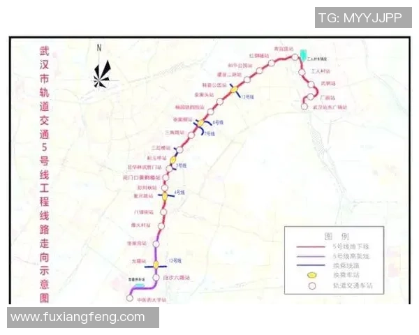 武汉排球队近期表现分析与未来发展方向探讨 武汉排球队近期表现分析与未来发展方向探讨